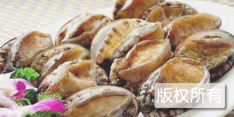崂山鲍鱼