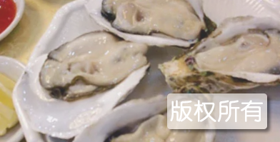 大蚝
