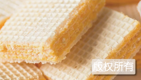 湛江威化饼