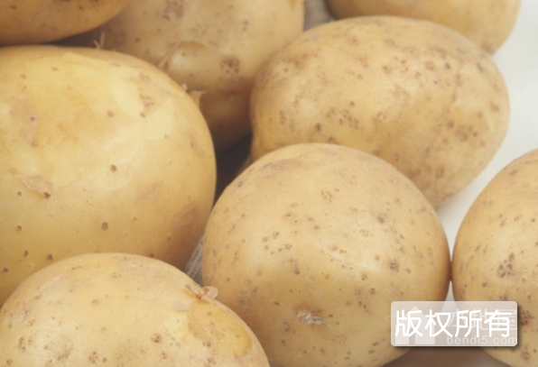 察哈尔马铃薯