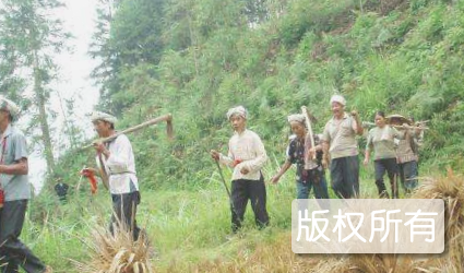 茶山号子