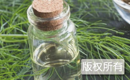 茴香油