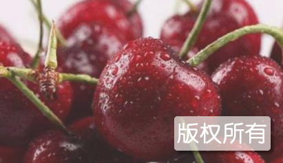 巨野樱桃