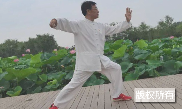 十字八方拳
