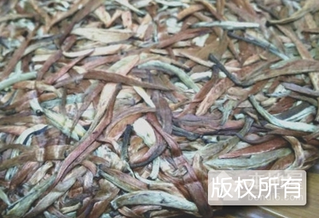 秧塔大白茶