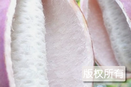 八月瓜