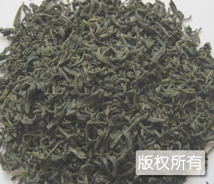 石亭绿茶