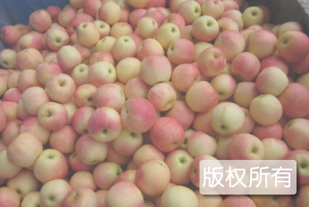 旧店苹果