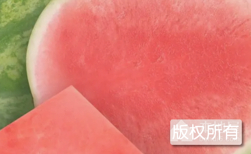 藤县无籽西瓜
