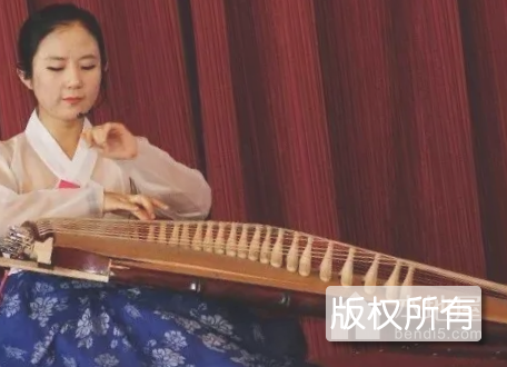伽倻琴艺术