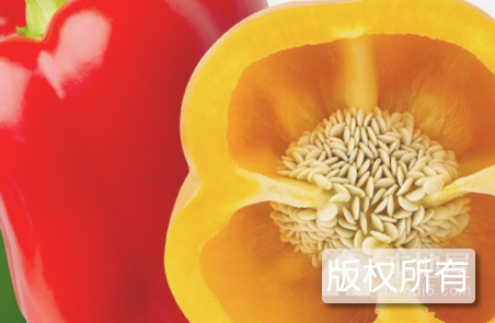 金柯辣椒