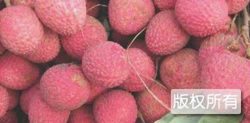 罗浮山荔枝