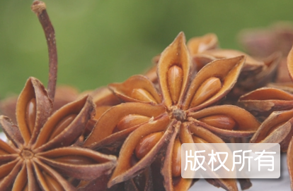 陆川八角