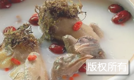 炖鸽
