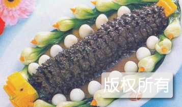 鸳鸯梅花参