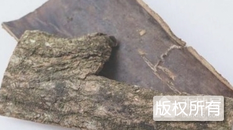 折西杜仲
