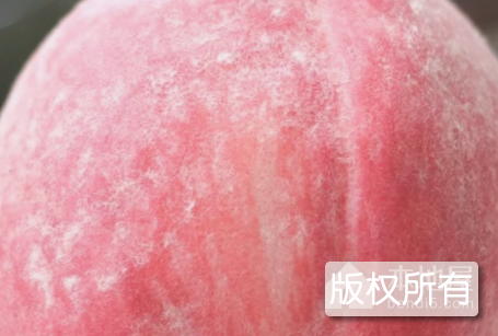 蒙阴蜜桃