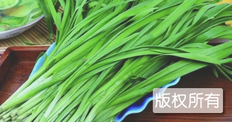 武山韭菜
