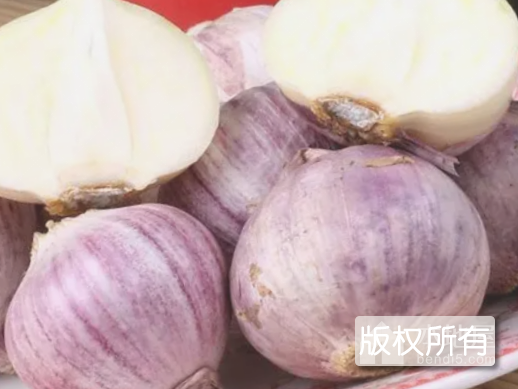 侯村紫皮蒜