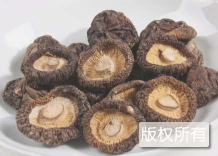 宜昌香菇