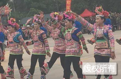 绩苴歌