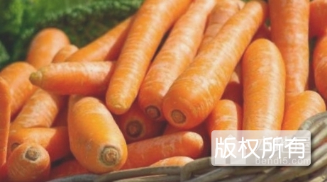丁香萝卜