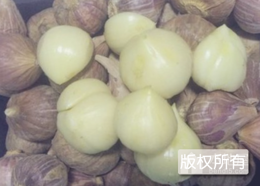 白城紫皮大蒜