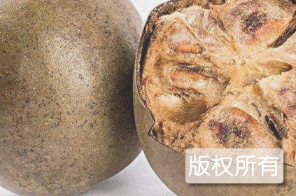 中族罗汉果