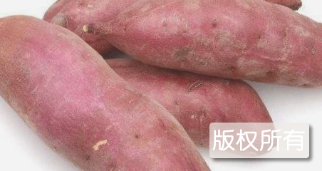 东兴红姑娘红薯
