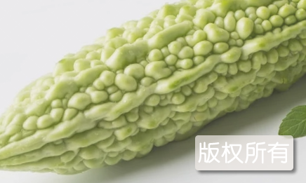 蓝山大白苦瓜
