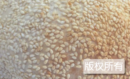 脂油烧饼