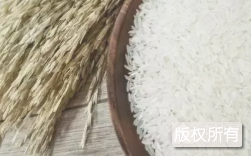 白溢稻
