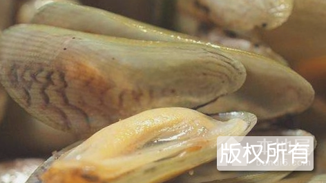 薄壳