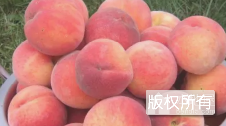 大团水蜜桃