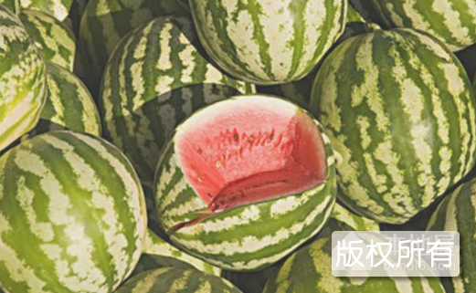 坦渡西瓜