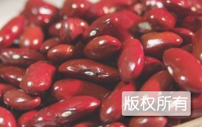 拜泉芸豆