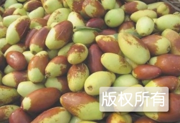 桥梓尜尜枣