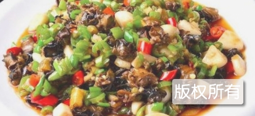 无尻螺