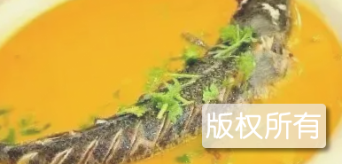 龙鱼