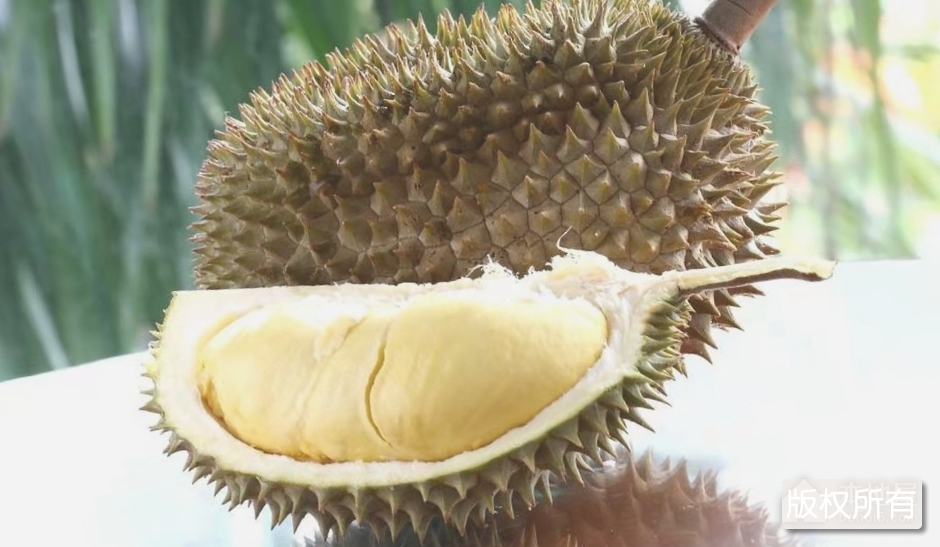 三亚榴莲