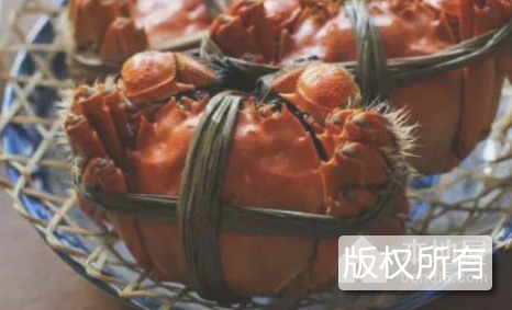 焦岗湖大闸蟹