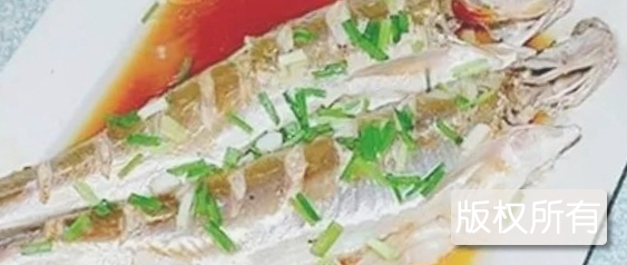 池河梅白鱼