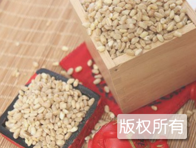 元麦粯子