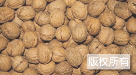 青阳山核桃