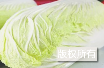宁安大白菜
