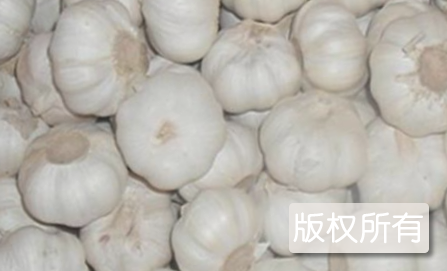成武大蒜