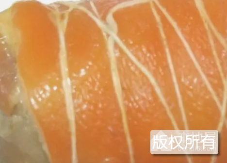 捆蹄