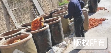 成县酒柿子