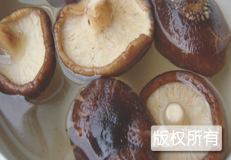 景宁食用菌