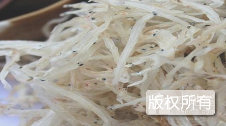 上海银鱼